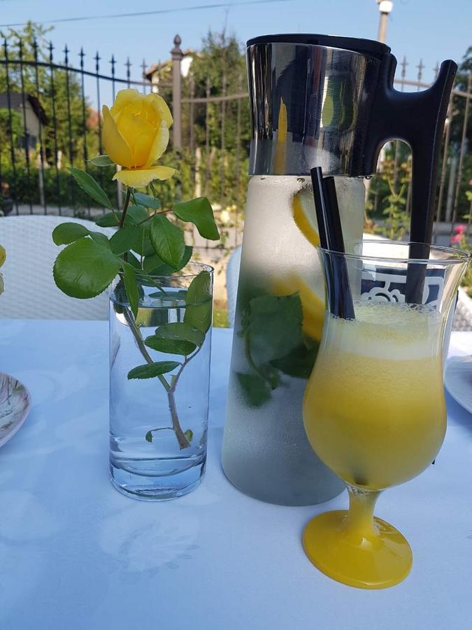 Green Hill Guest House 贝尔科维察 外观 照片
